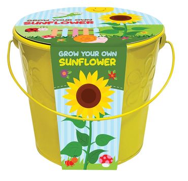 Grow Your Own Sunflowers