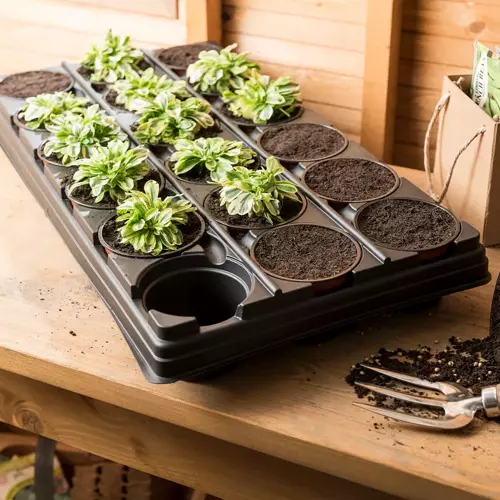 Growing Tray with18 Round Pots - image 4