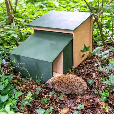 Hedgehog House XL