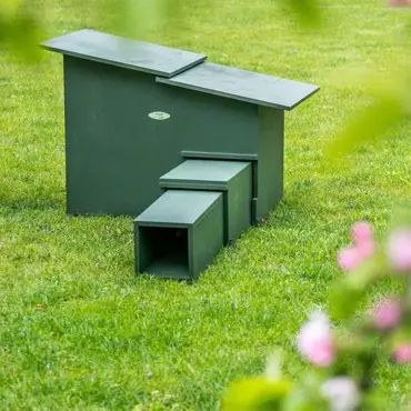 Hedgehog House XXL - image 1