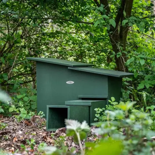 Hedgehog House XXL - image 2