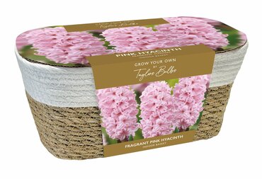 Hyacinth Basket Pink Large