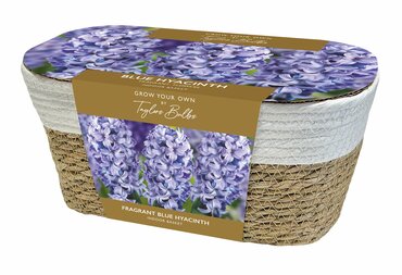 Hyacinth Baskets Blue Large