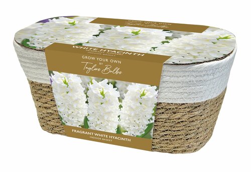 Hyacinth Baskets White Large