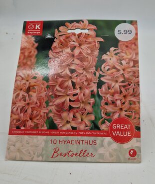 Hyacinth Best Seller Promo Pack