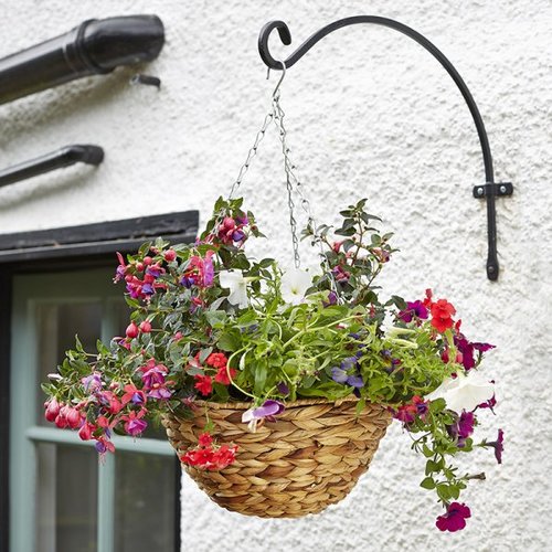 Hyacinth Hanging Basket 14" - image 2