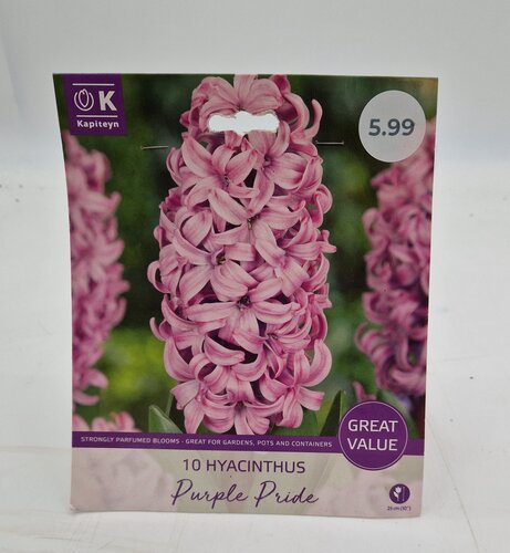 Hyacinth Purple Pride Promo Pack