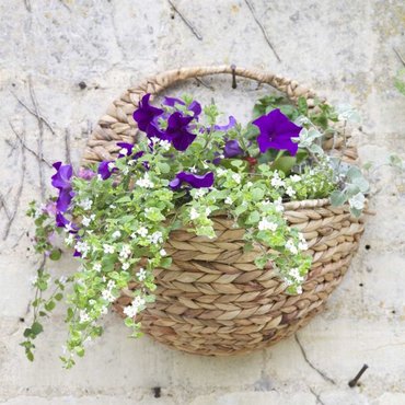 Hyacinth Wall Basket 16" - image 2