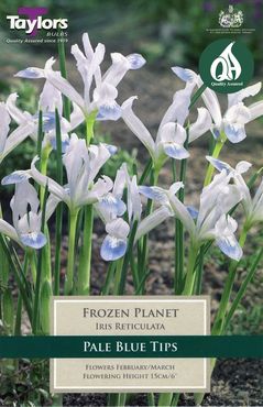 Iris Frozen Planet x 12