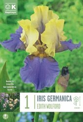 Iris Germanica Edith Wolford