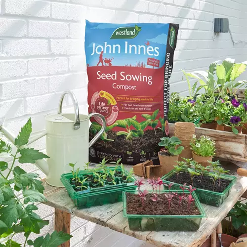 John Innes Seed Peat Free Compost 28L - image 2