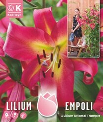 Lilium Pack Empoli