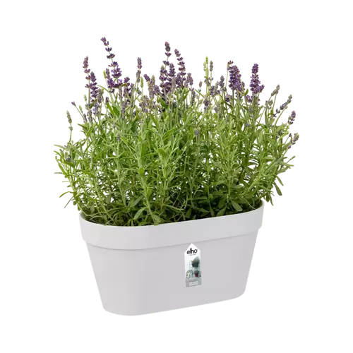 Loft Urban Green Wall Duo 28cm White - image 2