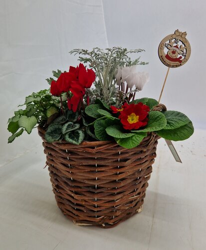 Medium Rattan Planter