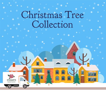 Charity Christmas Tree Collection