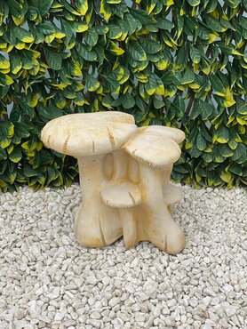 Mushroom Cluster Lge Sandstone