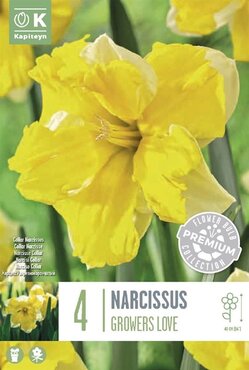 Narcissus Collar Growers Love