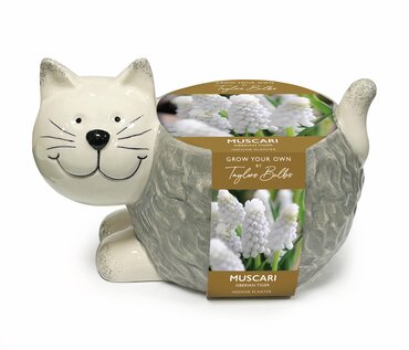 Novelty Cat Planter