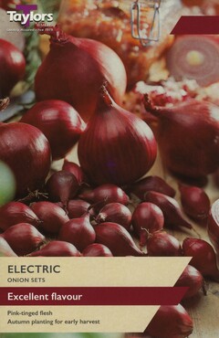 Onion Electric