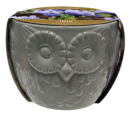 Owl Planter