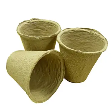 Peat Free 6cm Pots Round 20Pk UK - image 3