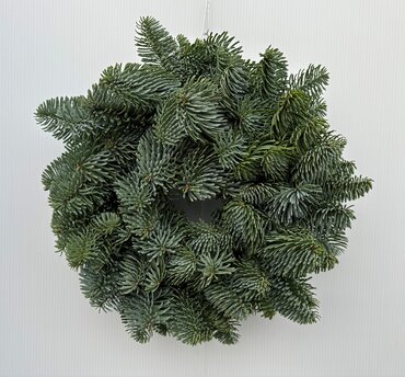 Plain Foliage Wreath 8 inch