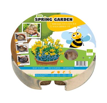 Plant-O-Mat Kids Narcissus/Scilla - image 1