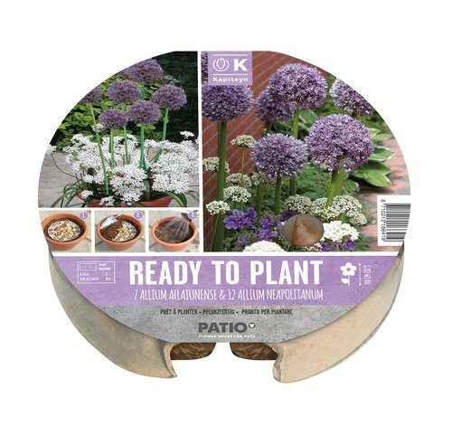 Plant-O-Mat Tray 24cm Allium - image 1