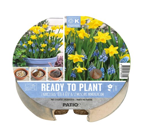 Plant-O-Mat Tray 24cm Narcissus & Muscari - image 1