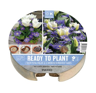 Plant-O-Mat Tray 24cm Tulip & Anemone