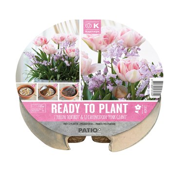 Plant-O-Mat Tray 24cm Tulip & Chionodoxa - image 1