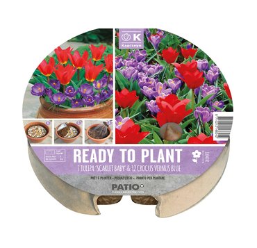 Plant-O-Mat Tray Tulip & Crocus - image 1