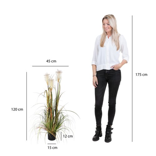 Plume Grass Foxtail White Artificial Plant - image 6