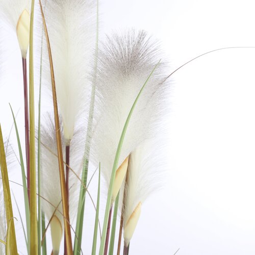 Plume Grass Foxtail White Artificial Plant - image 2