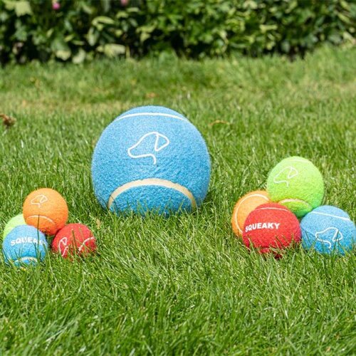 Pooch 5cm Mini Tennis Balls 4 Pack - image 3