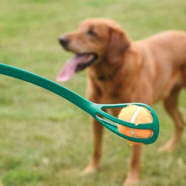 Pooch Mini Ball Launcher - image 2