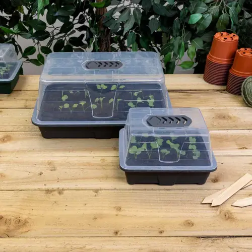 Propagator Set Medium