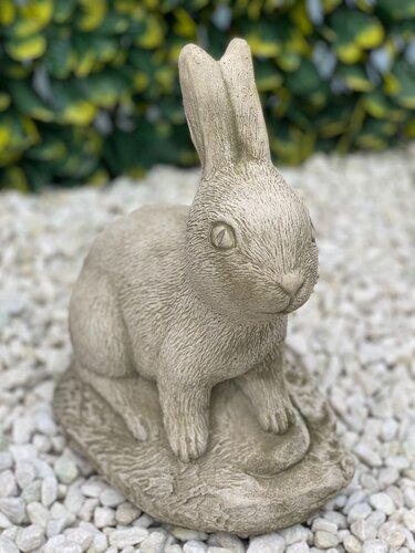 Rabbit Sherwood - image 1