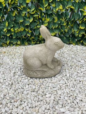 Rabbit Sherwood - image 3