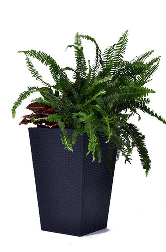 Rattan Planter Anthracite Med 38.8cm - image 3