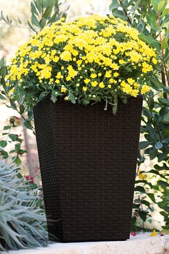 Rattan Planter Anthracite Med 38.8cm - image 1