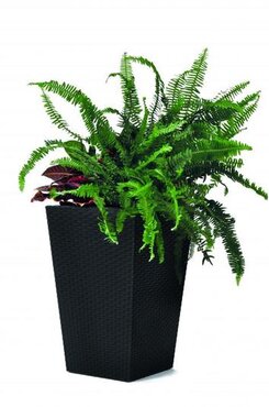 Rattan Planter Anthracite Small 28.5cm - image 3