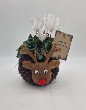 Reindeer Planter Round - image 1