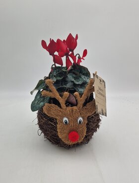 Reindeer Planter Round - image 2