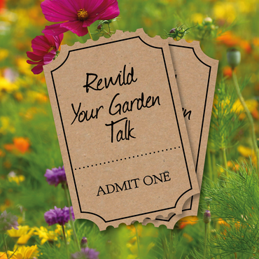 Christchurch Talk: Rewilding Your Garden
