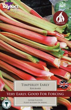 Rhubarb Timperley Early