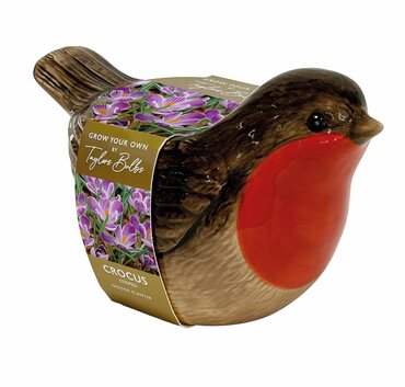 Robin Planter