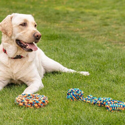 Rope Chukker - image 1