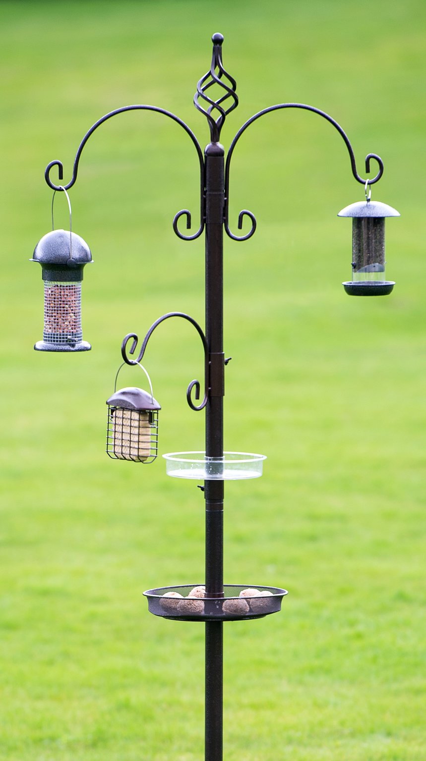 bird feeding station near me