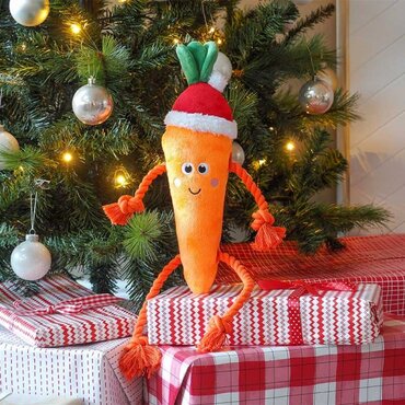 Santa Carrot Rope-Legs PlayPal - image 1